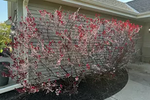 1227 Oriole Dr, Oconomowoc, WI 53066 - Photo 42