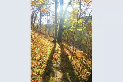 S4108  Haugrud Hollow Rd, Webster, WI 54639 - Photo 64