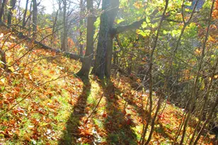 S4108 Haugrud Hollow Rd, Webster, WI 54639 - Photo 64