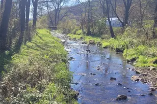 S4108 Haugrud Hollow Rd, Webster, WI 54639 - Photo 6