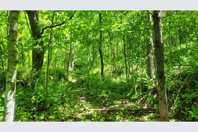 S4108  Haugrud Hollow Rd, Webster, WI 54639 - Photo 56