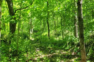 S4108 Haugrud Hollow Rd, Webster, WI 54639 - Photo 56