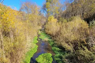 S4108 Haugrud Hollow Rd, Webster, WI 54639 - Photo 30