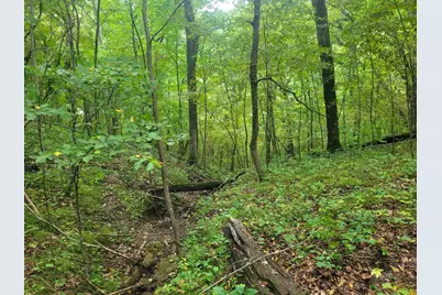 S4108  Haugrud Hollow Rd, Webster, WI 54639 - Photo 28