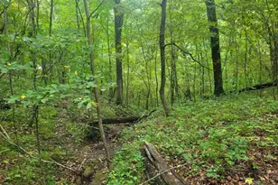 S4108 Haugrud Hollow Rd, Webster, WI 54639 - Photo 28