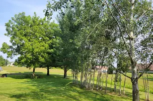 205 Sharon St, Darien, WI 53114 - Photo 18