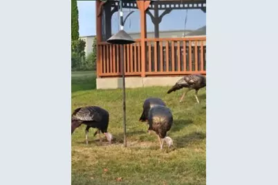 N6190  County Road F -, Concord, WI 53178 - Photo 86