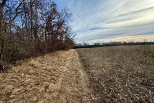 W3769 State Road 44 -, Manchester, WI 53946 - Photo 44