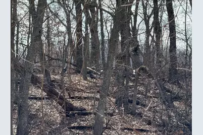 000  Hawk Rd, Adrian, WI 54656 - Photo 14