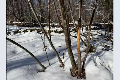 000  Hawk Rd, Adrian, WI 54656 - Photo 12