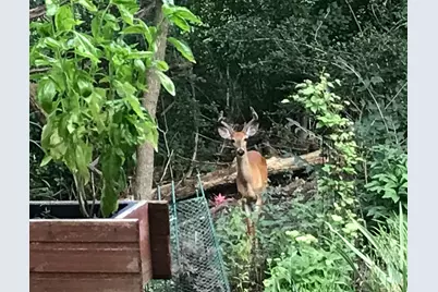 2870  Teal Ridge Ct #B, Brookfield, WI 53045 - Photo 36