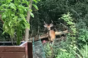 2870 Teal Ridge Ct, Brookfield, WI 53045 - Photo 36