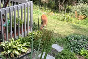 2870 Teal Ridge Ct, Brookfield, WI 53045 - Photo 34