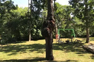 443 N Grandview Blvd, Waukesha, WI 53188 - Photo 8