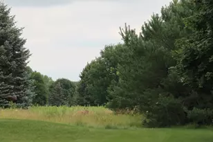 W292N3296 Summerhill Rd, Delafield, WI 53072 - Photo 80