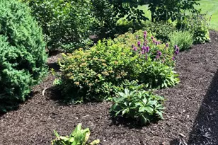 705 W Bradley Rd, River Hills, WI 53217 - Photo 54