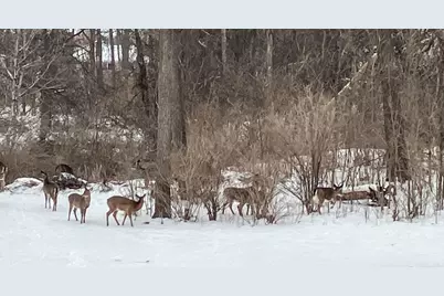 415 S Wells St #303, Lake Geneva, WI 53147 - Photo 34