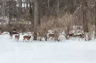 415 S Wells St, Lake Geneva, WI 53147 - Photo 34