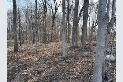 0  River Valley Rd, Ixonia, WI 53036 - Photo 4