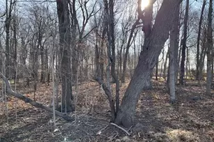 0 River Valley Rd, Ixonia, WI 53036 - Photo 1