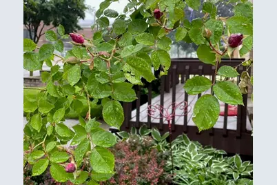 4376 S Adams Ave, Milwaukee, WI 53207 - Photo 4