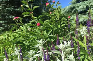 W254S7310 Glenview Dr, Vernon, WI 53189 - Photo 48