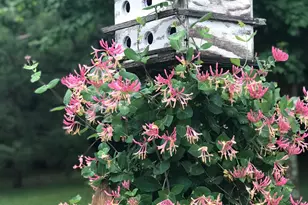 W254S7310 Glenview Dr, Vernon, WI 53189 - Photo 52