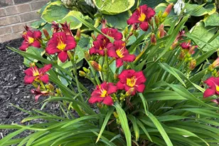 21965 W North Ave, Brookfield, WI 53045 - Photo 28