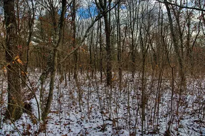 1565  State Highway 71 -, Little Falls, WI 56345 - Photo 32