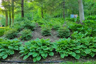 8706 State 44 -, Union, MN 55921 - Photo 34