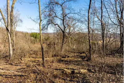 19249  State Highway 56 -, Marshall, WI 53581 - Photo 78