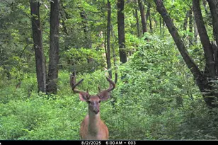 19249 State Hwy 56 -, Marshall, WI 53581 - Photo 52