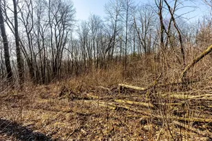 19249 State Hwy 56 -, Marshall, WI 53581 - Photo 76