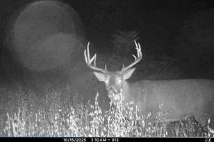 19249 State Hwy 56 -, Marshall, WI 53581 - Photo 58