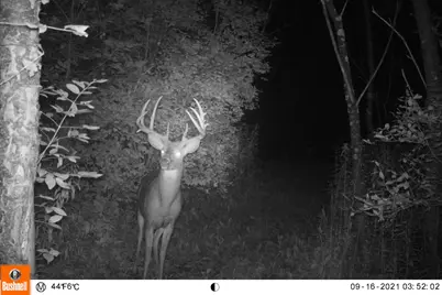 19249  State Highway 56 -, Marshall, WI 53581 - Photo 6