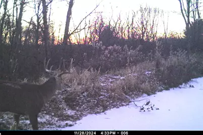 19249  State Highway 56 -, Marshall, WI 53581 - Photo 62