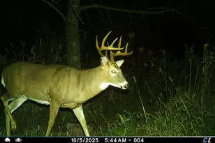 19249 State Hwy 56 -, Marshall, WI 53581 - Photo 60