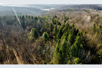 19249  State Highway 56 -, Marshall, WI 53581 - Photo 36