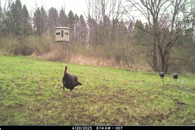 19249  State Highway 56 -, Marshall, WI 53581 - Photo 68