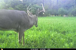 19249 State Hwy 56 -, Marshall, WI 53581 - Photo 54