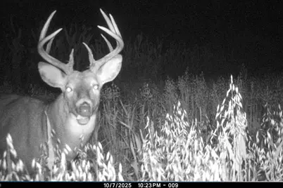 19249  State Highway 56 -, Marshall, WI 53581 - Photo 56