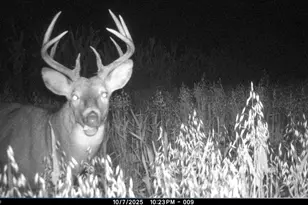 19249 State Hwy 56 -, Marshall, WI 53581 - Photo 56