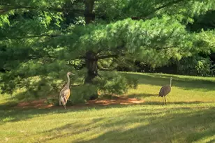 2293A Circle Ridge -, Delafield, WI 53018 - Photo 20