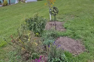 115 Keiper Dr, Rollingstone, MN 55959 - Photo 30