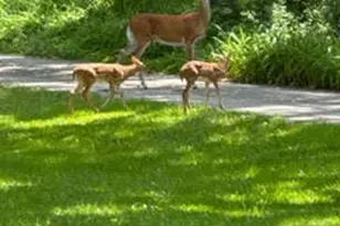 S38W31902 Wern Way, Genesee, WI 53189 - Photo 44