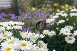 3646 S 14th St, Milwaukee, WI 53221 - Photo 6