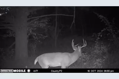 E10880  County Road P -, Clinton, WI 54667 - Photo 48