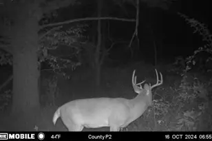 E10880 Co Rd P, Clinton, WI 54667 - Photo 48