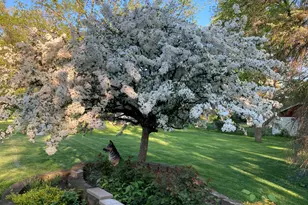 2527 W Goldcrest Ave, Milwaukee, WI 53221 - Photo 34