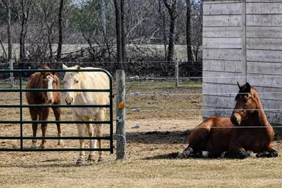 9518  State Highway 144 -, Farmington, WI 53040 - Photo 6